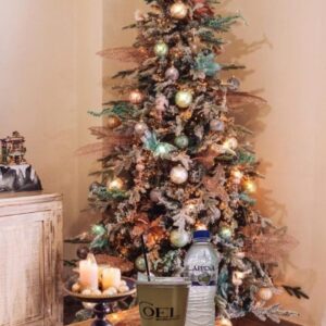 Χριστουγεννιάτικη Προσφορά