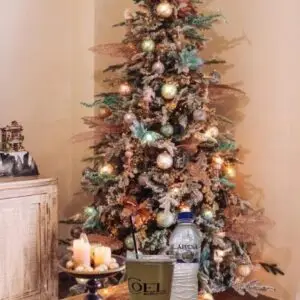 Χριστουγεννιάτικη Προσφορά